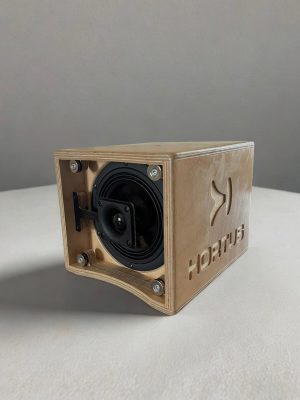 Q5.1 Enceinte Polyvalente / Mini Moniteur